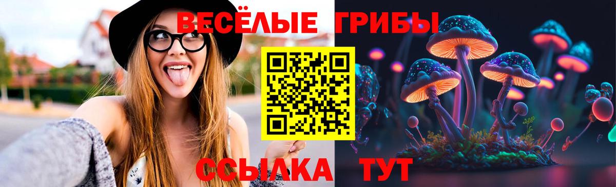 Галлюциногенные грибы Psilocybe  Вход с VPN  Галлюциногенные грибы прущие грибы  Минеральные Воды 